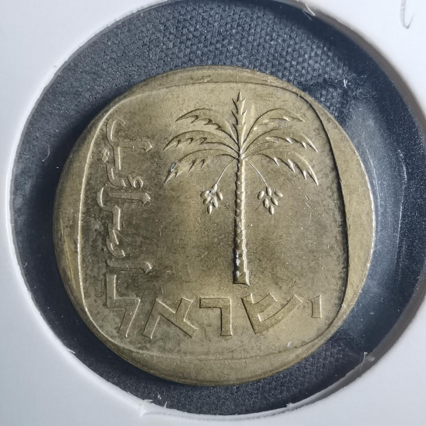 沼泽如烟--第896场 以色列