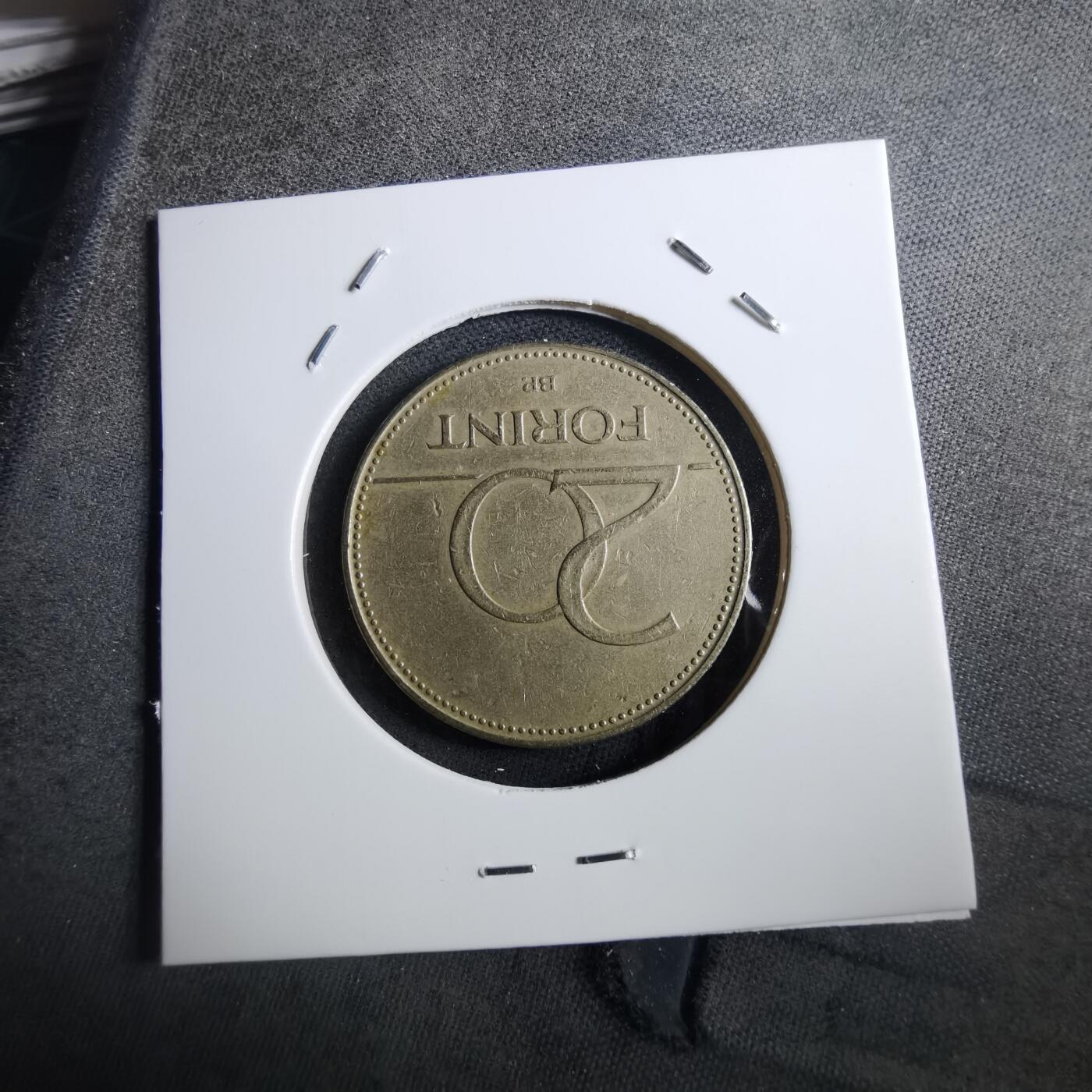 沼泽如烟--第897场