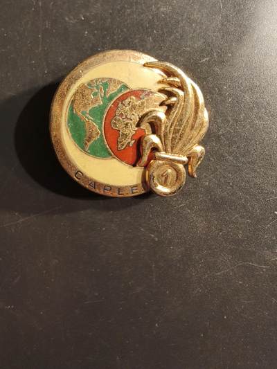 老王徽章第162期 -  法国外籍军团第1步兵团行政人员连证章