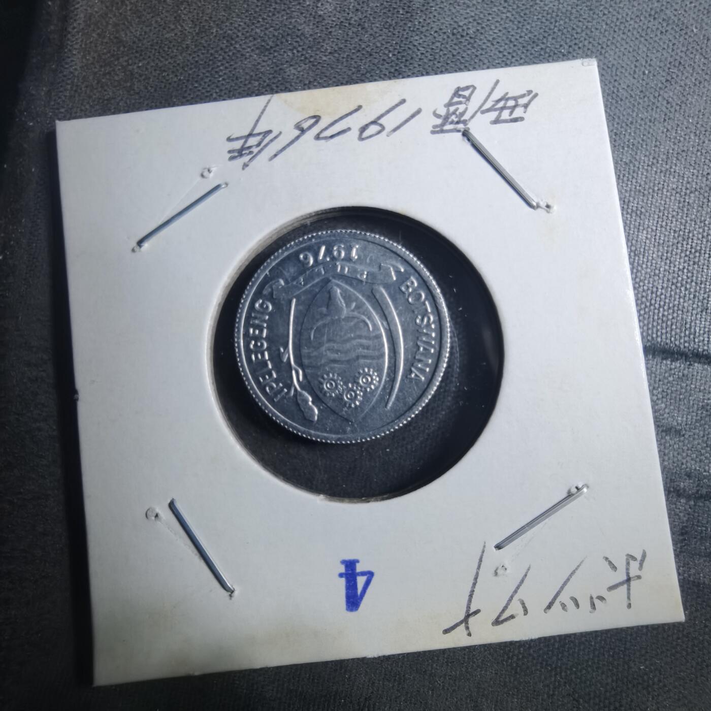 沼泽如烟--第896场