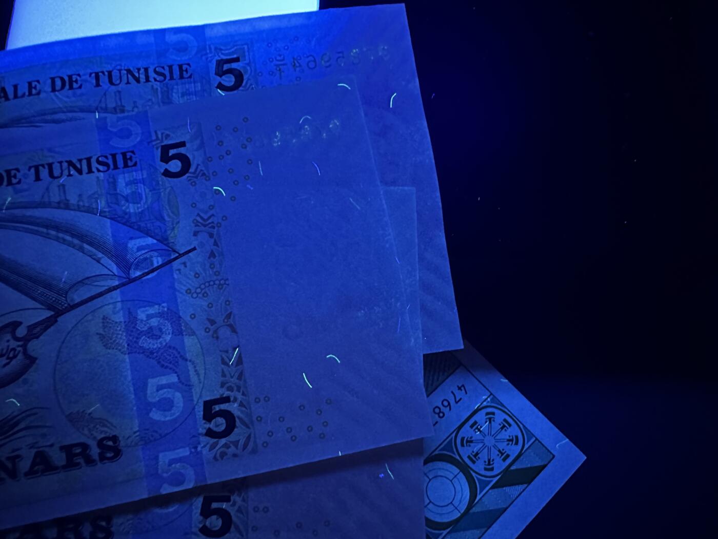 《外钞收藏家》第五百八十三期（精选场）（本期拍品丰富）（本平台长期征集拍品、欢迎藏友们联系合作） 荷兰人像版5盾全新+匈牙利500二张全新有压印+突尼斯5第纳尔3张全新轻微潮