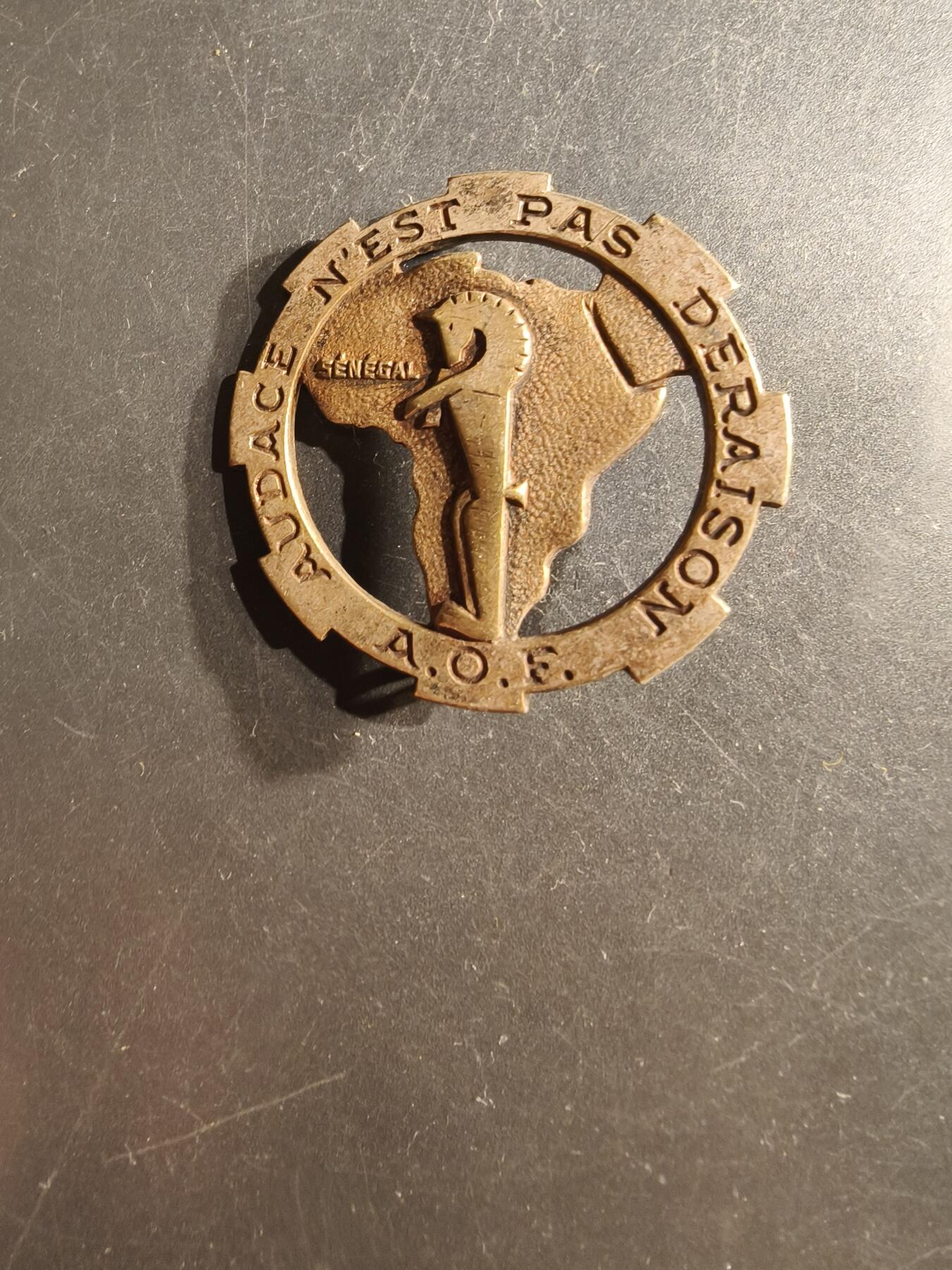 老王徽章第162期  法国第12非洲猎兵团证章     第12非洲猎兵团是法国陆军的一个骑兵团，于1943年在法属西非成立，主要由非洲士兵组成