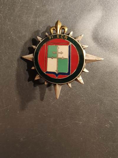 老王徽章第162期 -   法国宪兵队第71道路交通中队证章