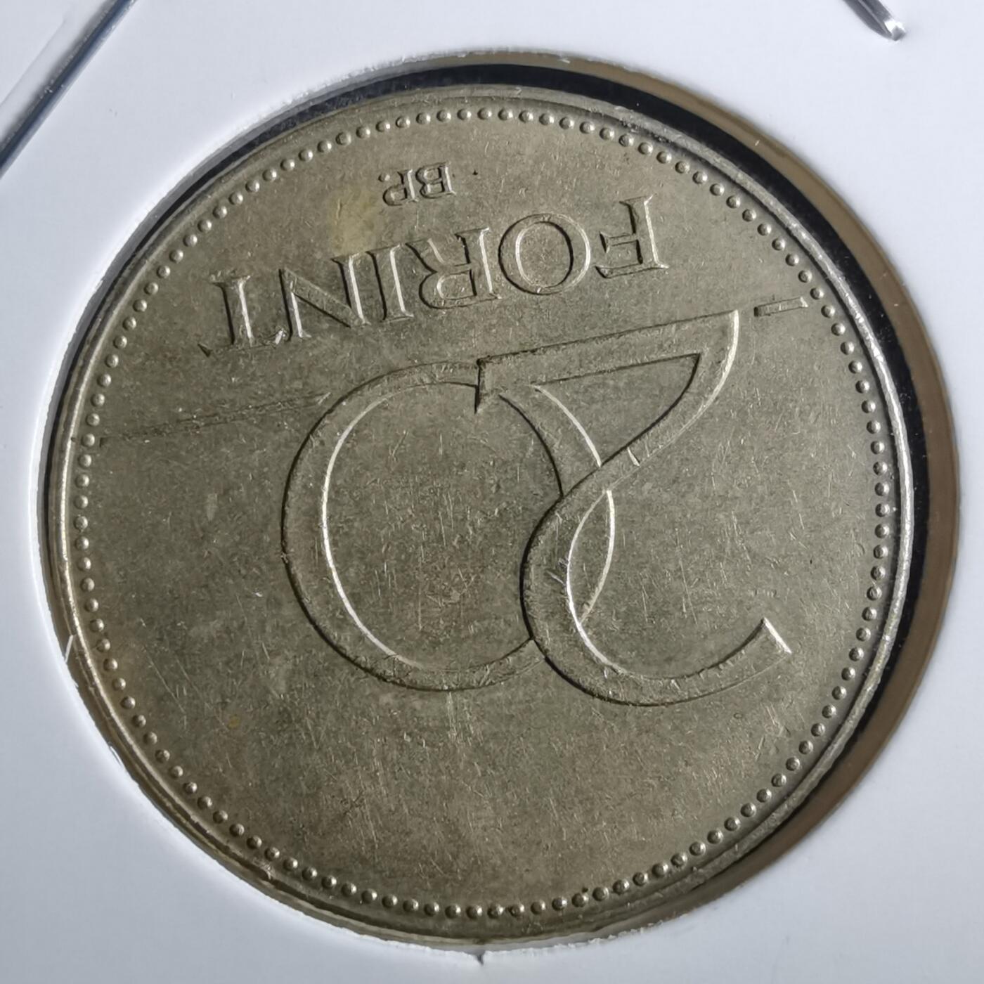 沼泽如烟--第897场