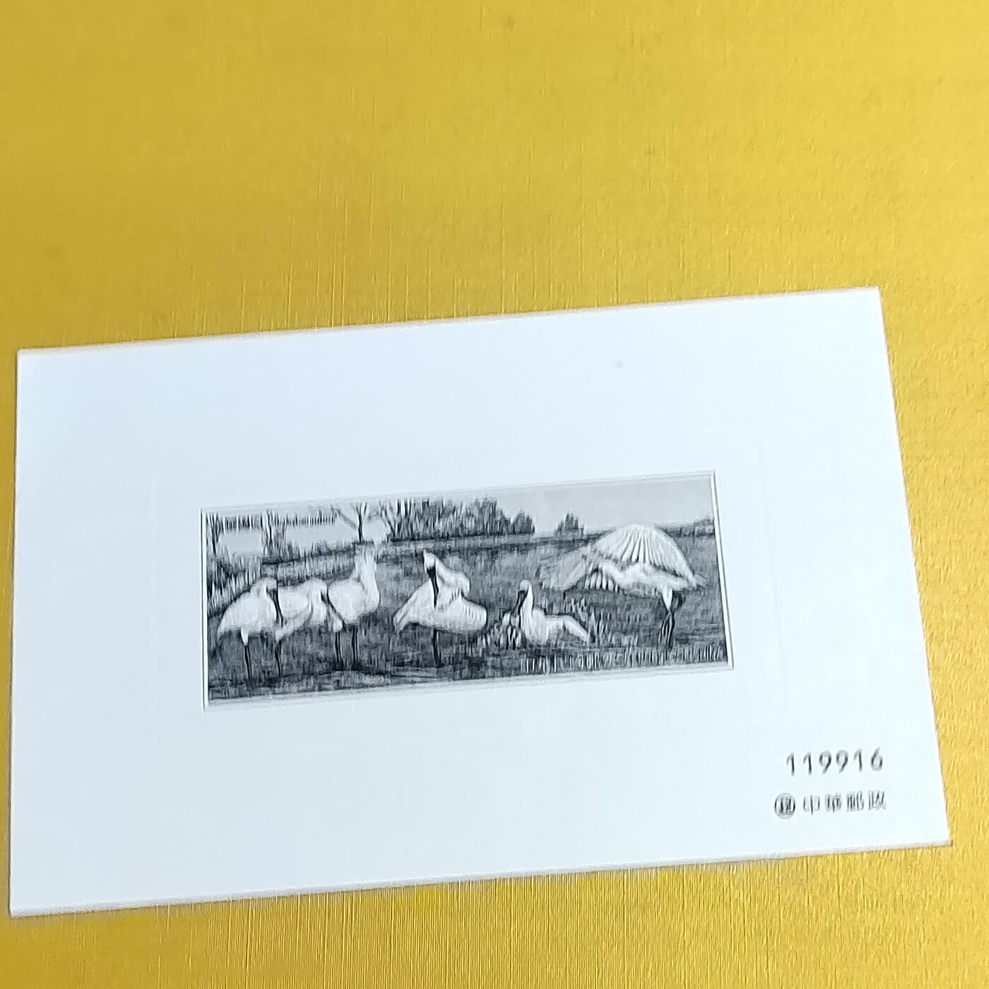 PCAI钱币12-596  中国台湾省邮票样票小专场