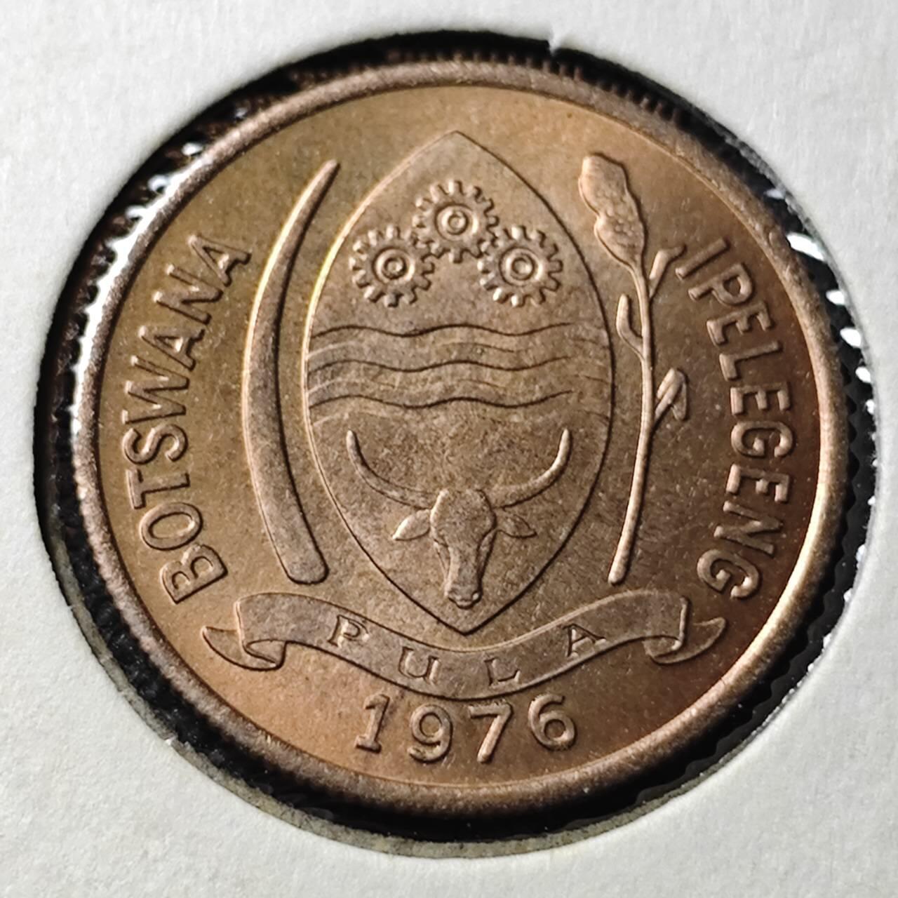 KK钱币收藏小铺  第368场  2月预留时间 周末发货  1976博茨瓦纳5西比 好品铜币