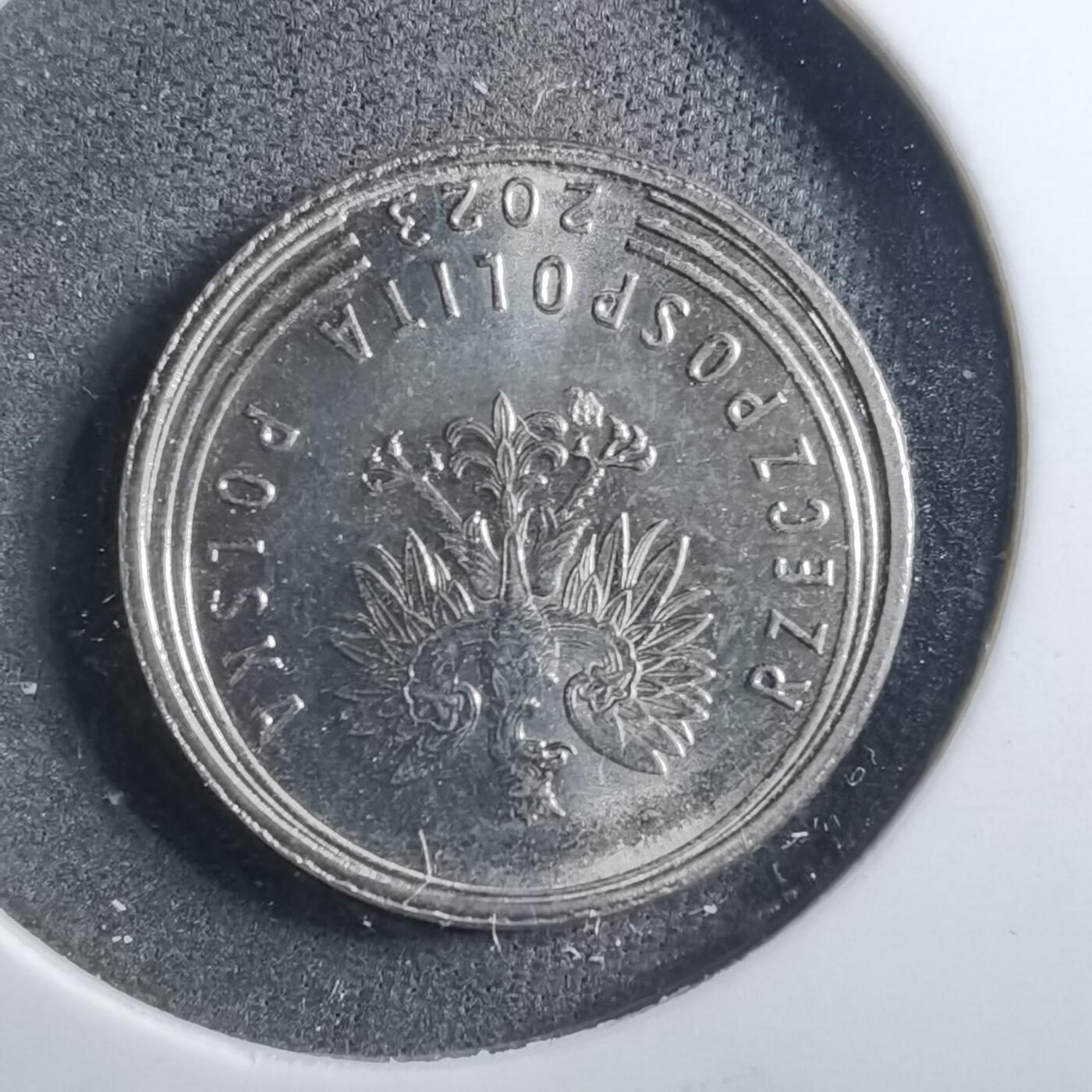 沼泽如烟--第899场 波兰2023年20格罗申