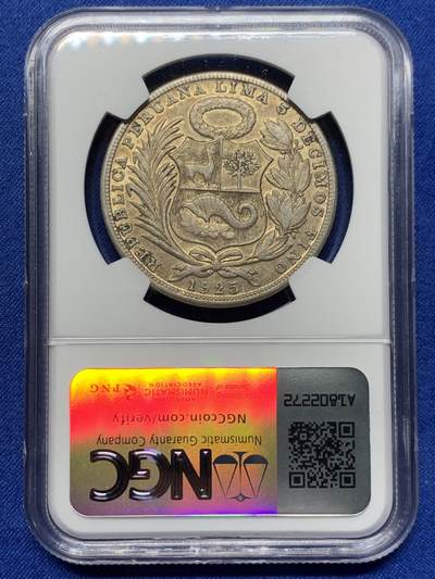 《竞宝斋》第437场 周日，周一2场连拍 （全场包邮） NGC XF45 秘鲁1925年坐人1索尔银币