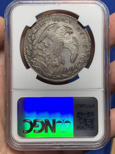 《竞宝斋》第437场 周日，周一2场连拍 （全场包邮） NGC AUD 墨西哥鹰洋 1881CA MG稀少年份厂别，羽毛清晰完整 五彩好状态
