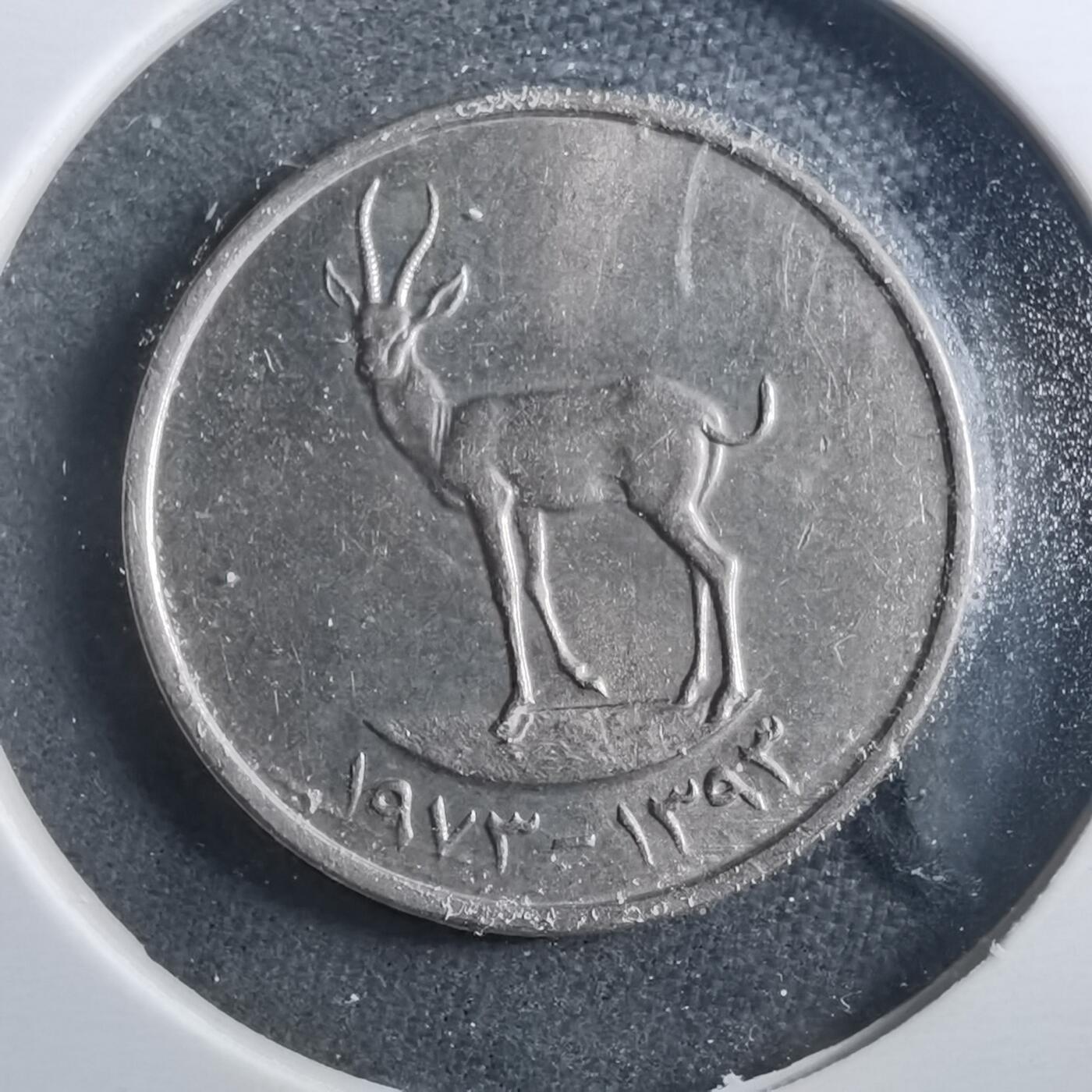 沼泽如烟--第899场 阿联酋