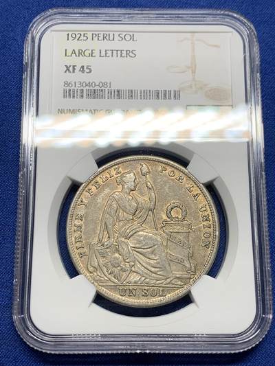 《竞宝斋》第437场 周日，周一2场连拍 （全场包邮） - NGC XF45 秘鲁1925年坐人1索尔银币