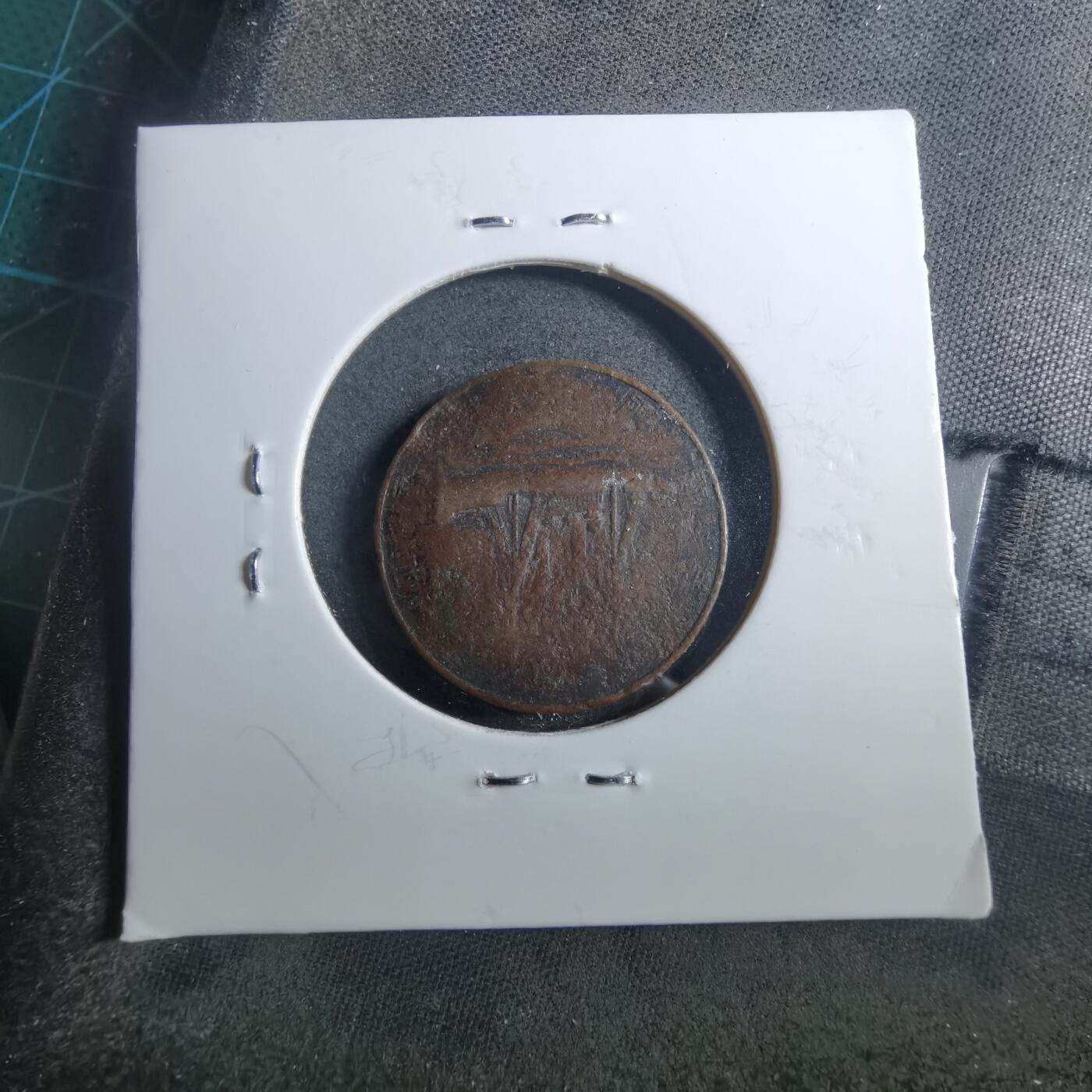 沼泽如烟--第899场 纪念章