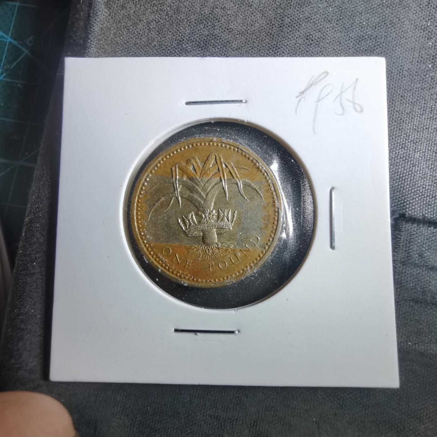 沼泽如烟--第899场 英国1985年一磅