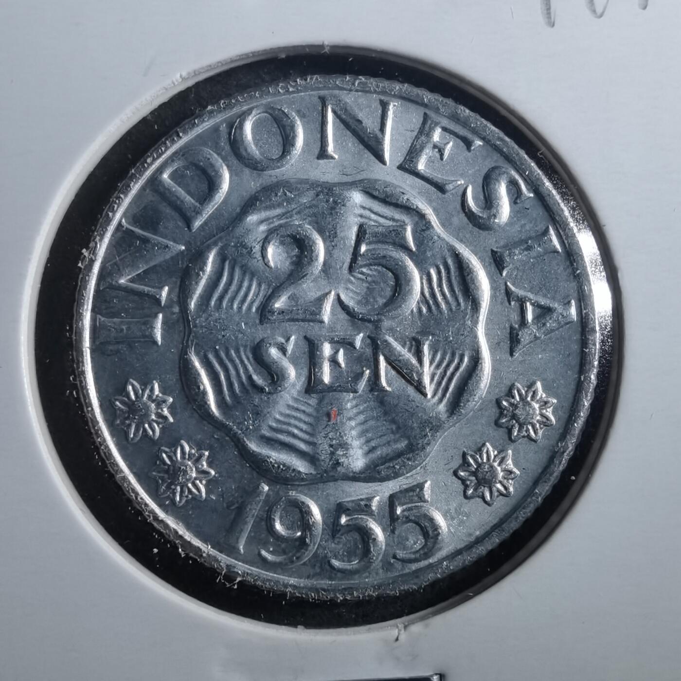 沼泽如烟--第899场