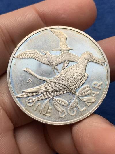 《竞宝斋》第437场 周日，周一2场连拍 （全场包邮） 英属维尔京群岛1973年军舰鸟1元银币 25.8g 925银