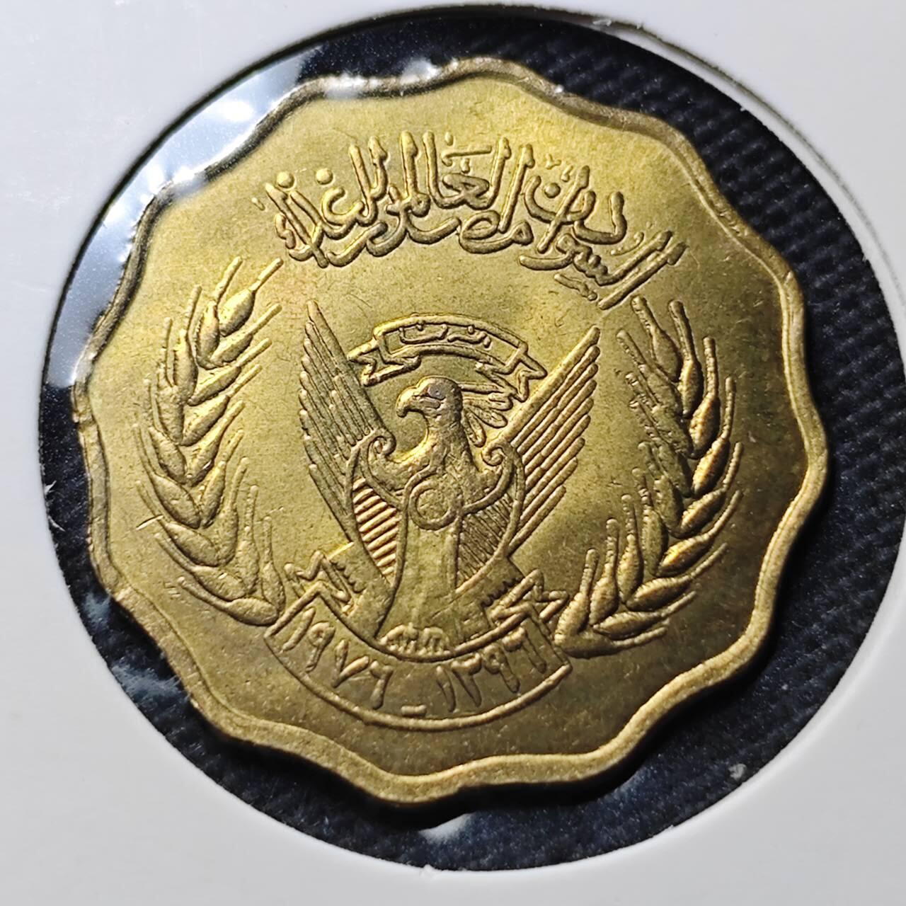 KK钱币收藏小铺  第368场  2月预留时间 周末发货  苏丹10米利姆铜币 好品