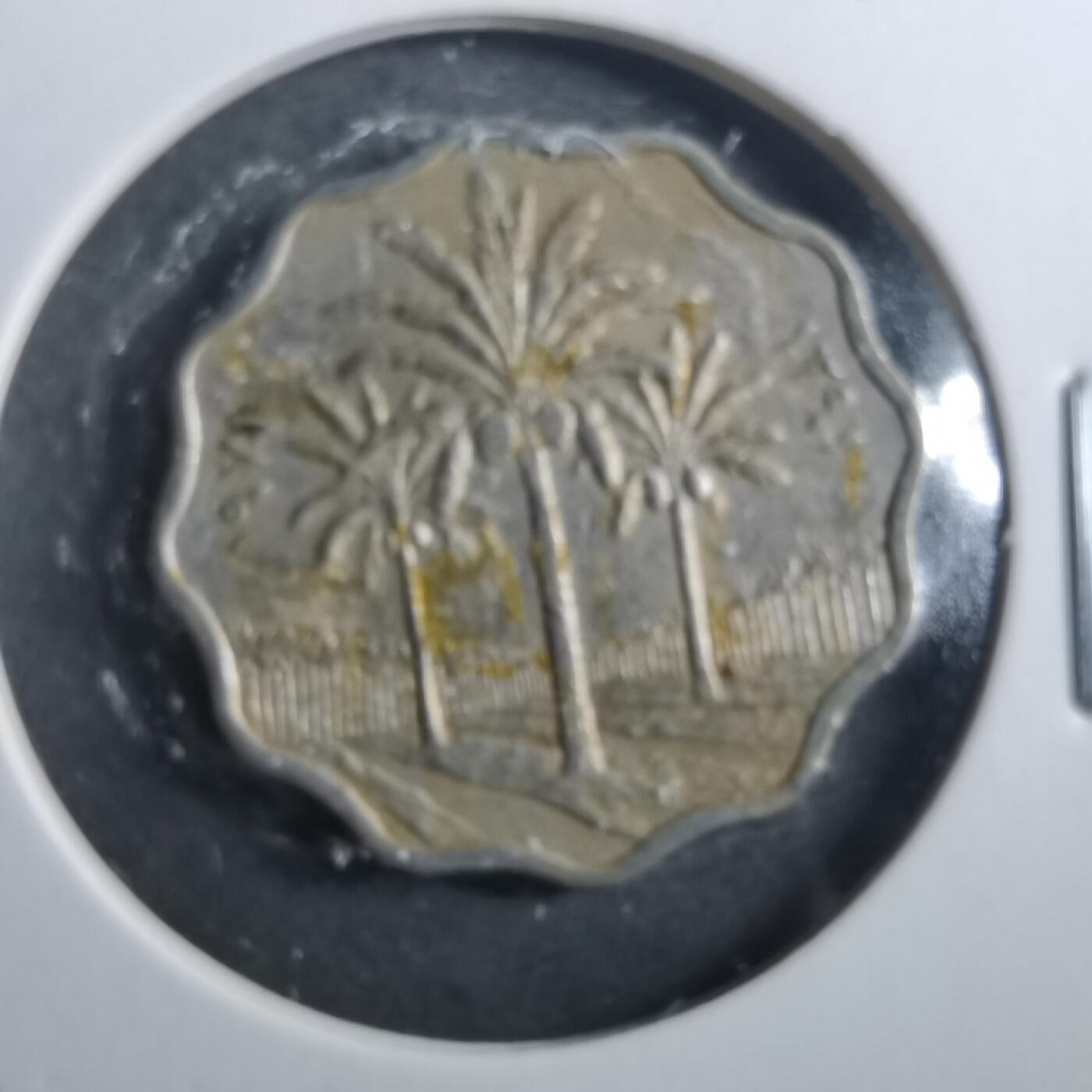 沼泽如烟--第899场 伊拉克