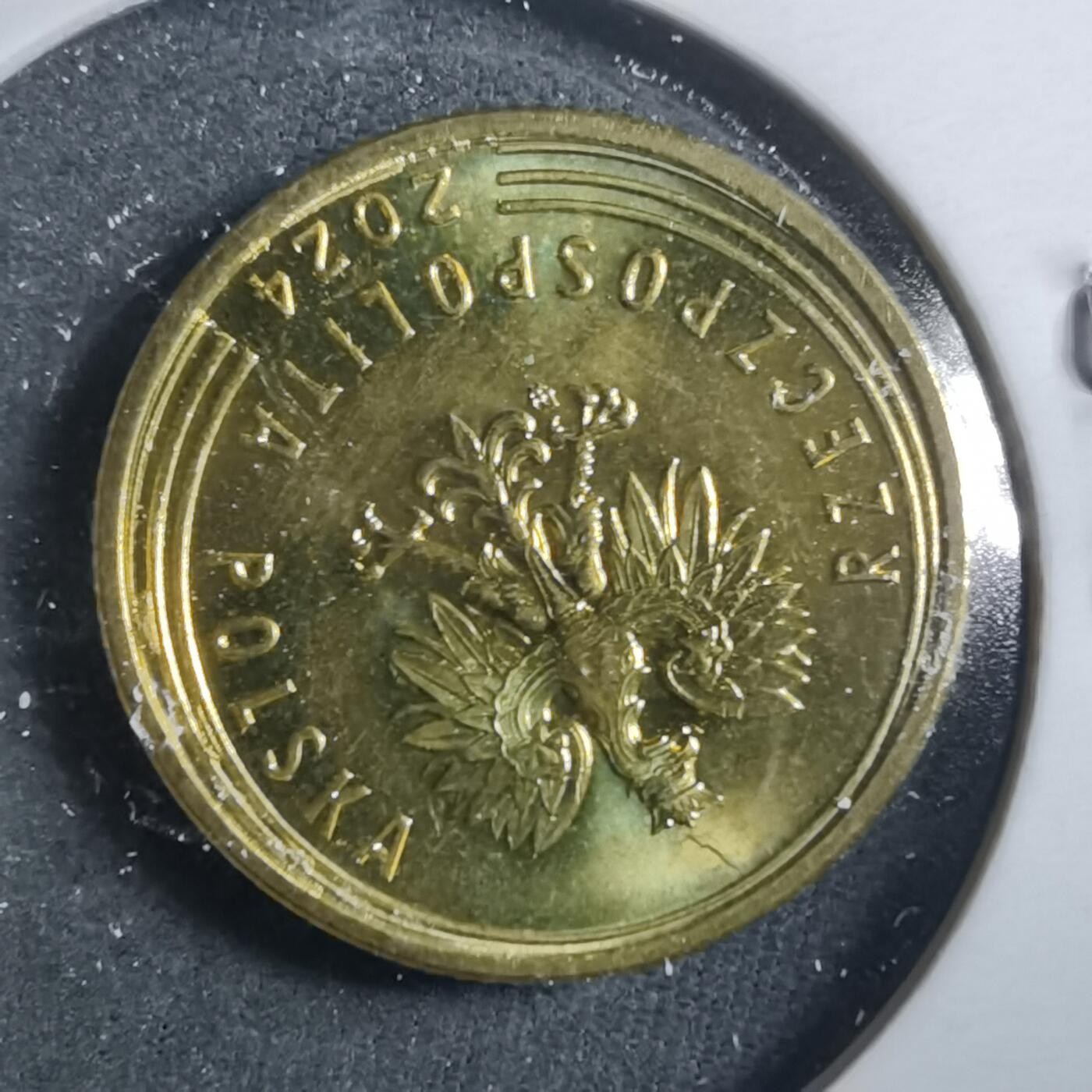 沼泽如烟--第899场 波兰2024年5格罗申