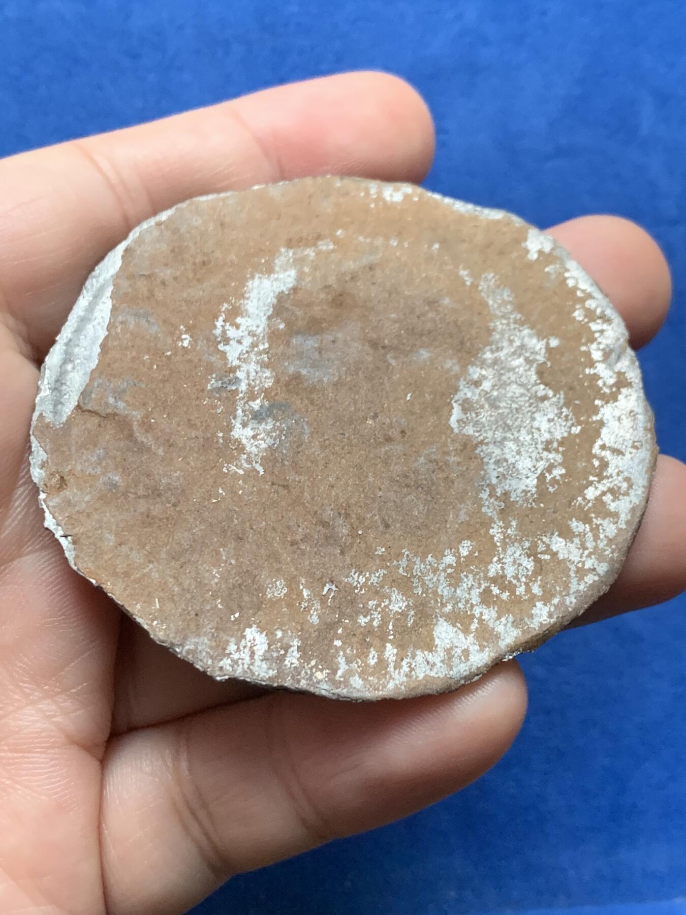 《竞宝斋》第437场 周日，周一2场连拍 （全场包邮） 法国拿破仑锡章 61mm 24.55克 有轻微不平 细节见图