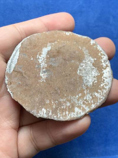 《竞宝斋》第437场 周日，周一2场连拍 （全场包邮） 法国拿破仑锡章 61mm 24.55克 有轻微不平 细节见图