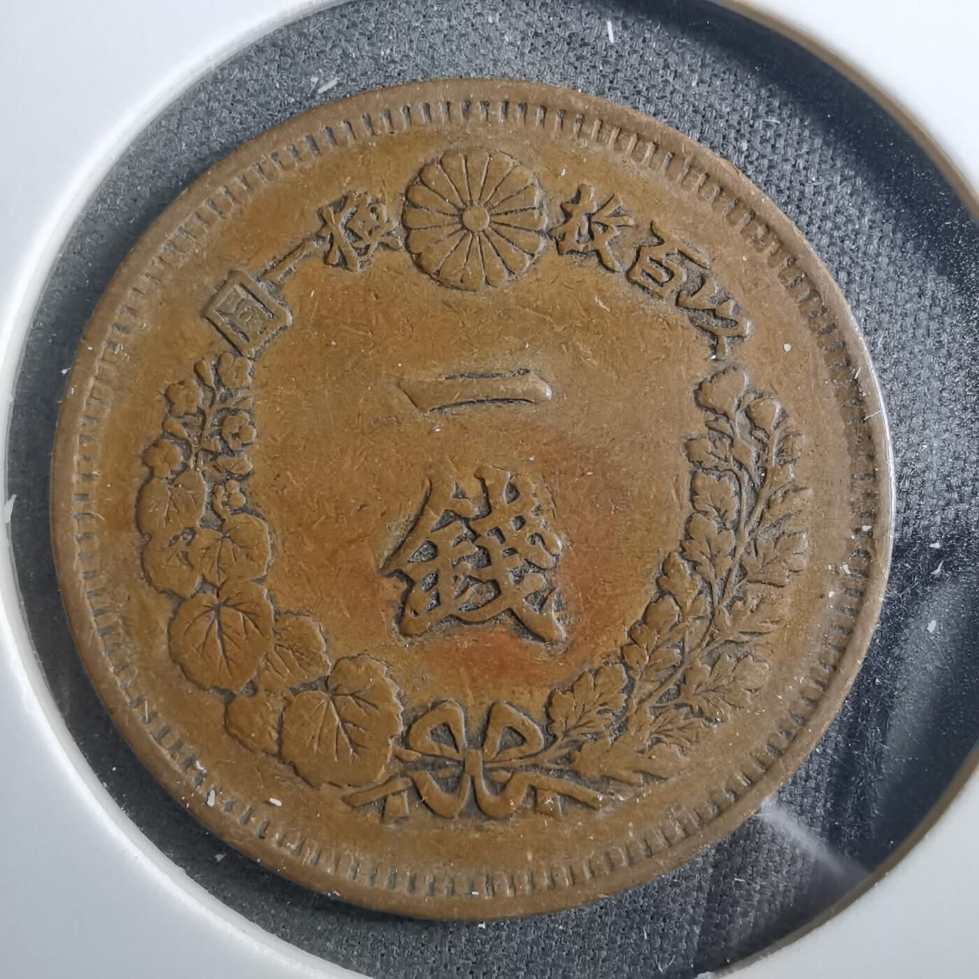 沼泽如烟--第899场