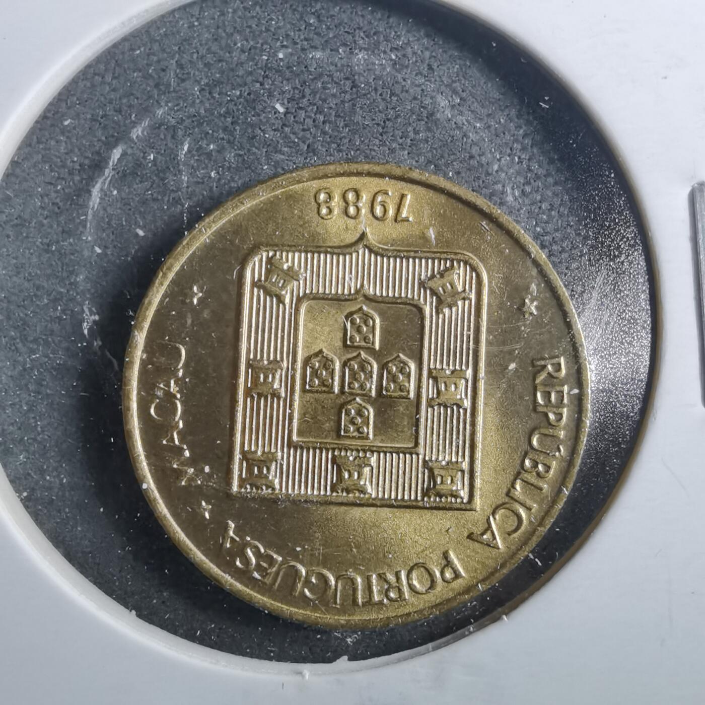 沼泽如烟--第899场