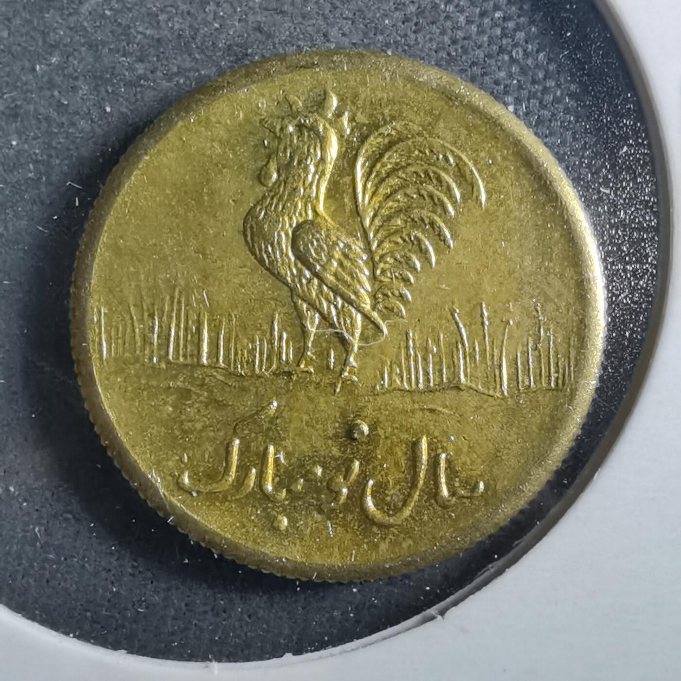 沼泽如烟--第899场