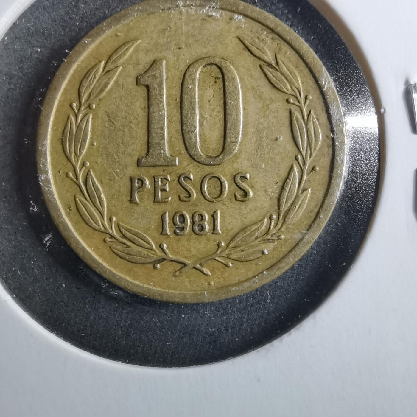 沼泽如烟--第899场 智利1981年10比索