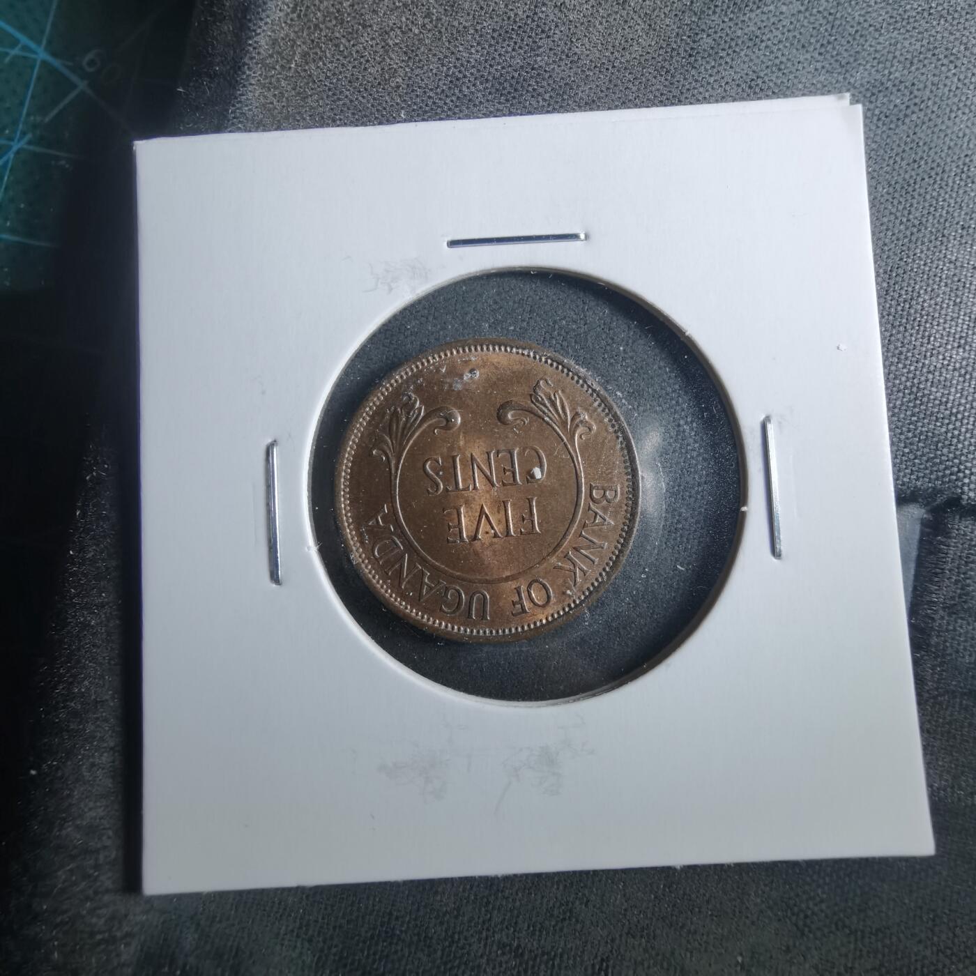 沼泽如烟--第899场