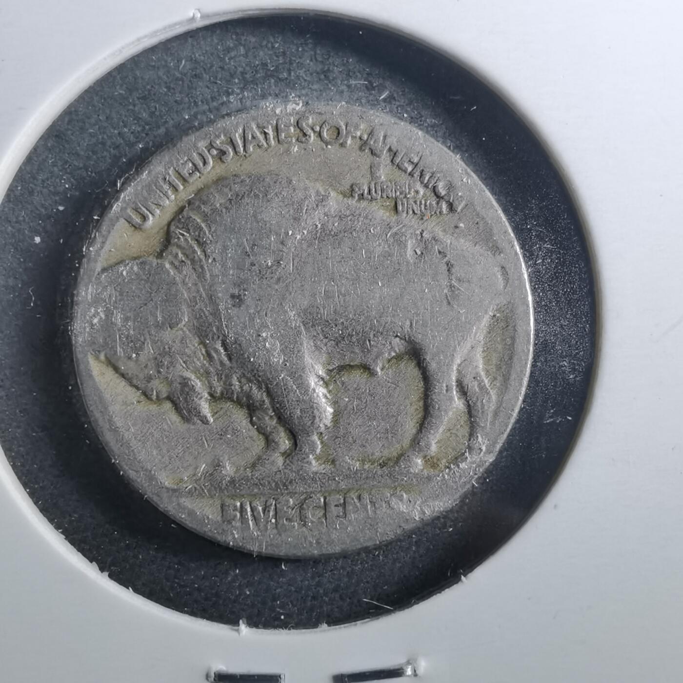 沼泽如烟--第899场 美国野牛五分