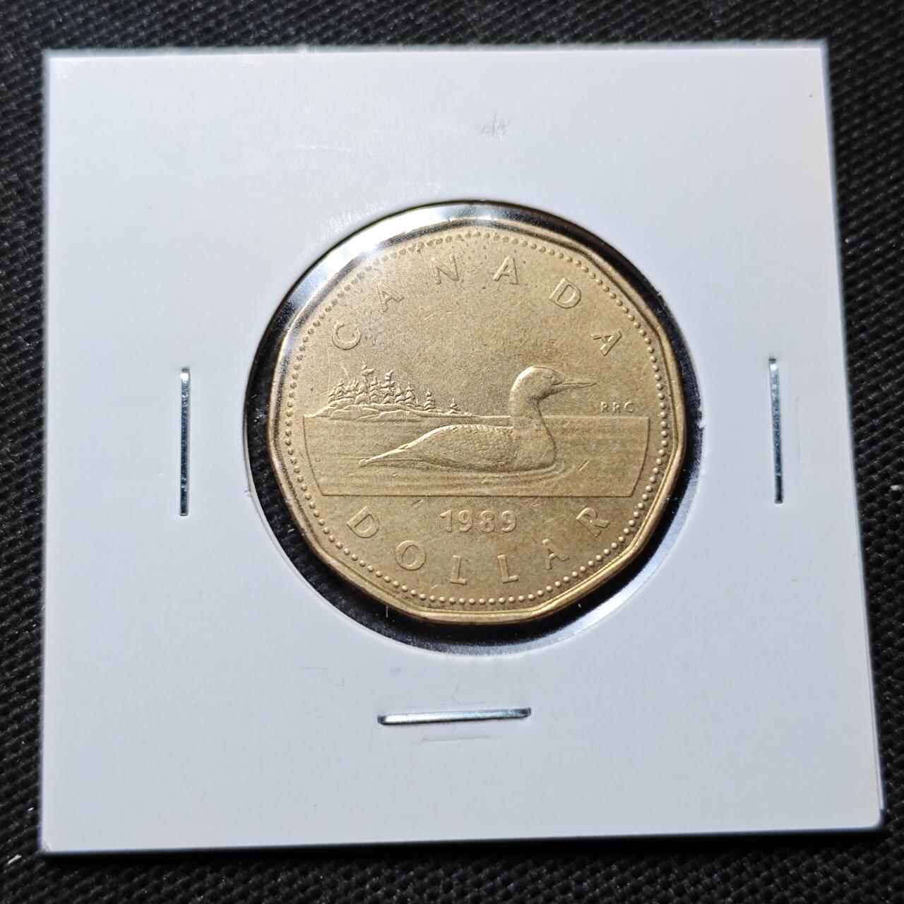 KK钱币收藏小铺  第368场  2月预留时间 周末发货  加拿大1元