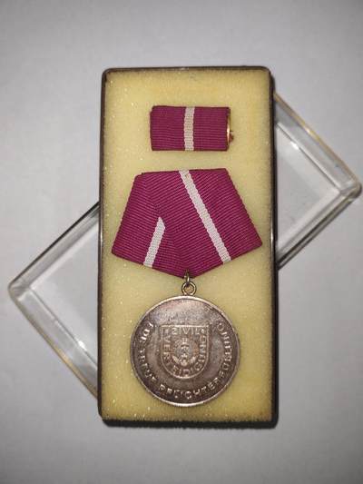 韵星假日精品2025秋季军品类拍卖会-- Rimey Holidays Boutique 2025 Autumn Militaria Sale - 民主德国银级忠诚服务奖章