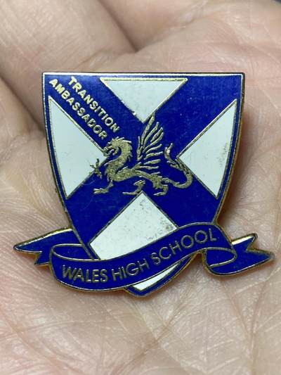 2025年第一百二十七场(总第一百五十三场）外国好品章牌、散币场(免佣金) - 英国🇬🇧英格兰南约克郡威尔士高中过渡大使徽章(过渡大使”通常是英国中学中协助新生适应校园生活的学生代表，这枚徽章是该身份的官方标识物)，重7.15克