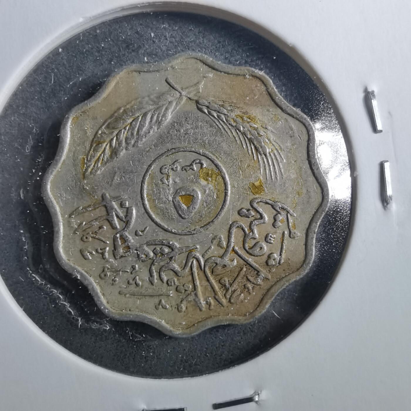 沼泽如烟--第899场 伊拉克