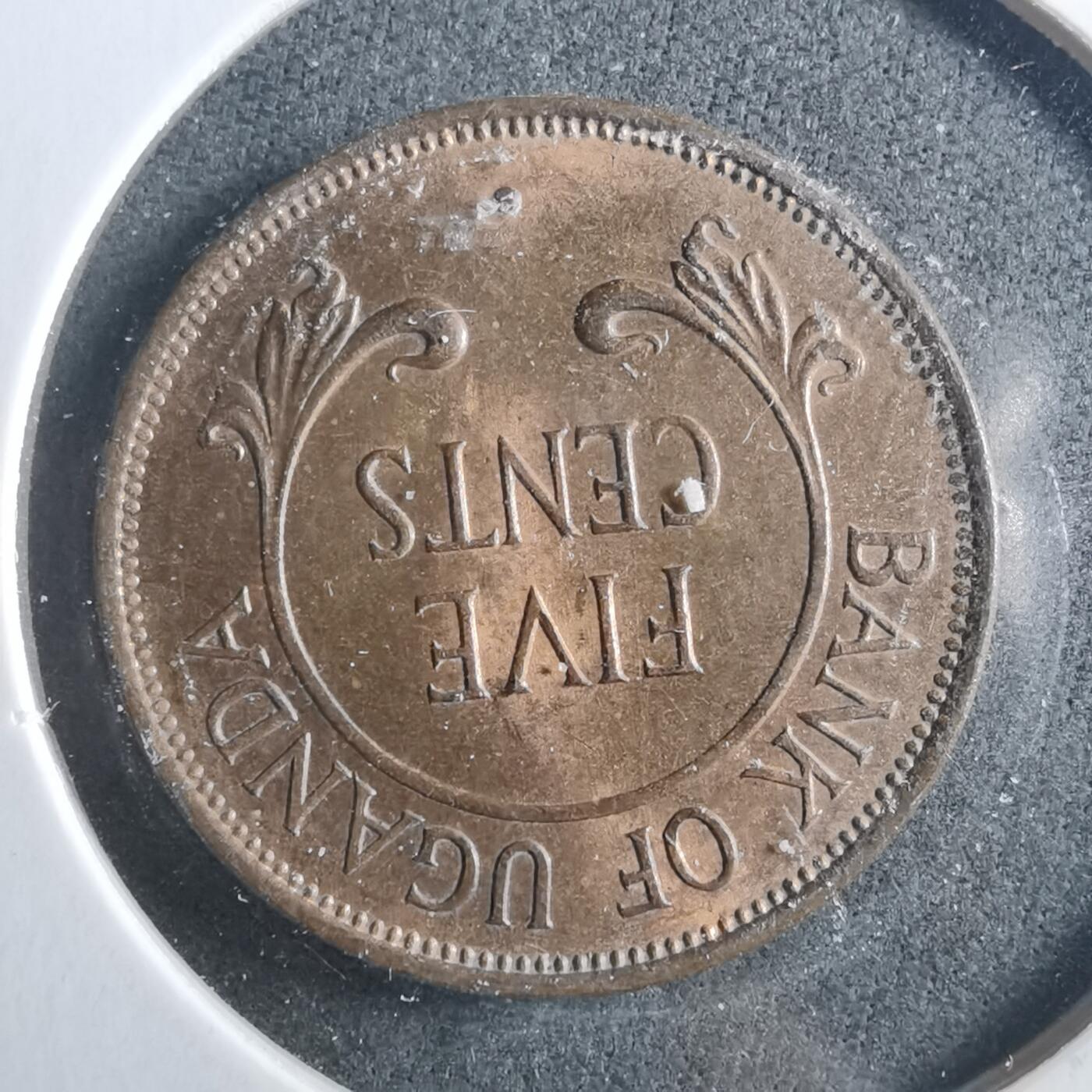 沼泽如烟--第899场