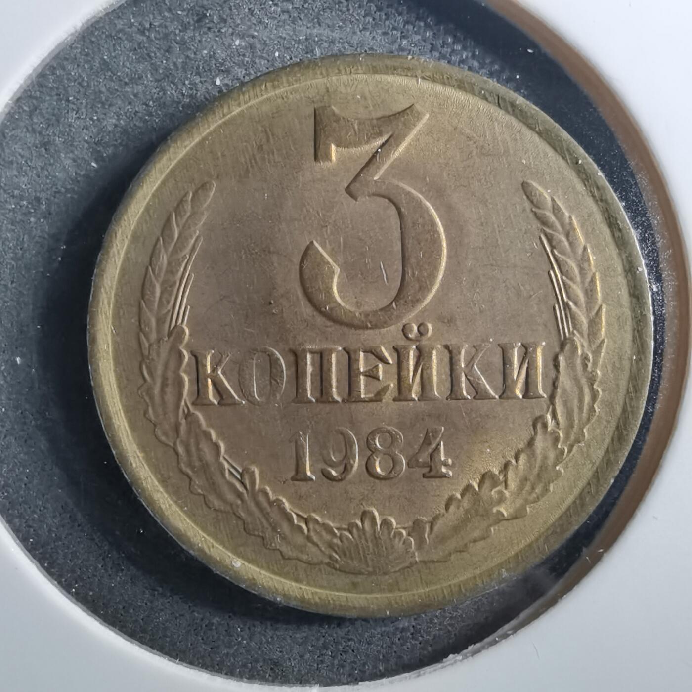 沼泽如烟--第899场