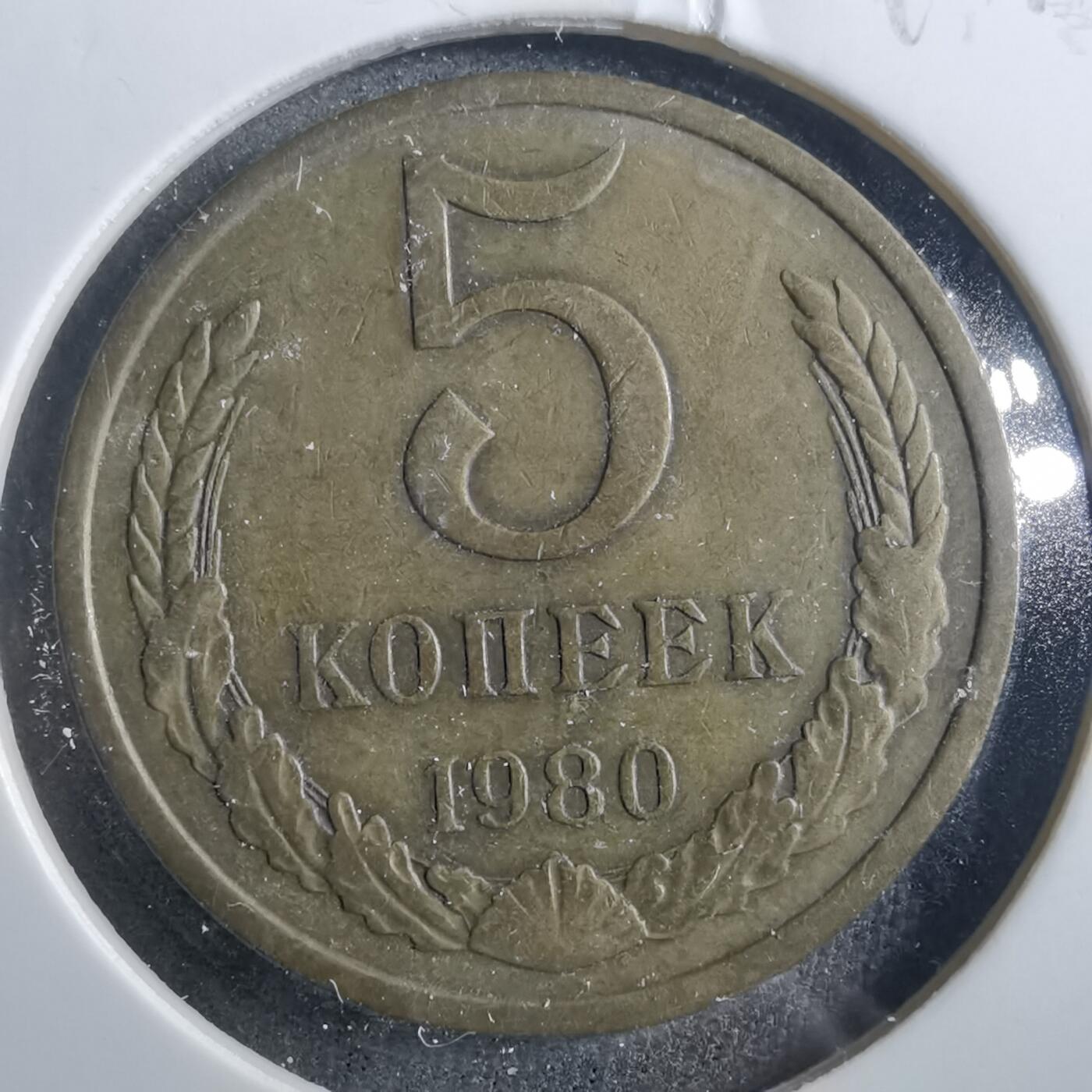 沼泽如烟--第899场