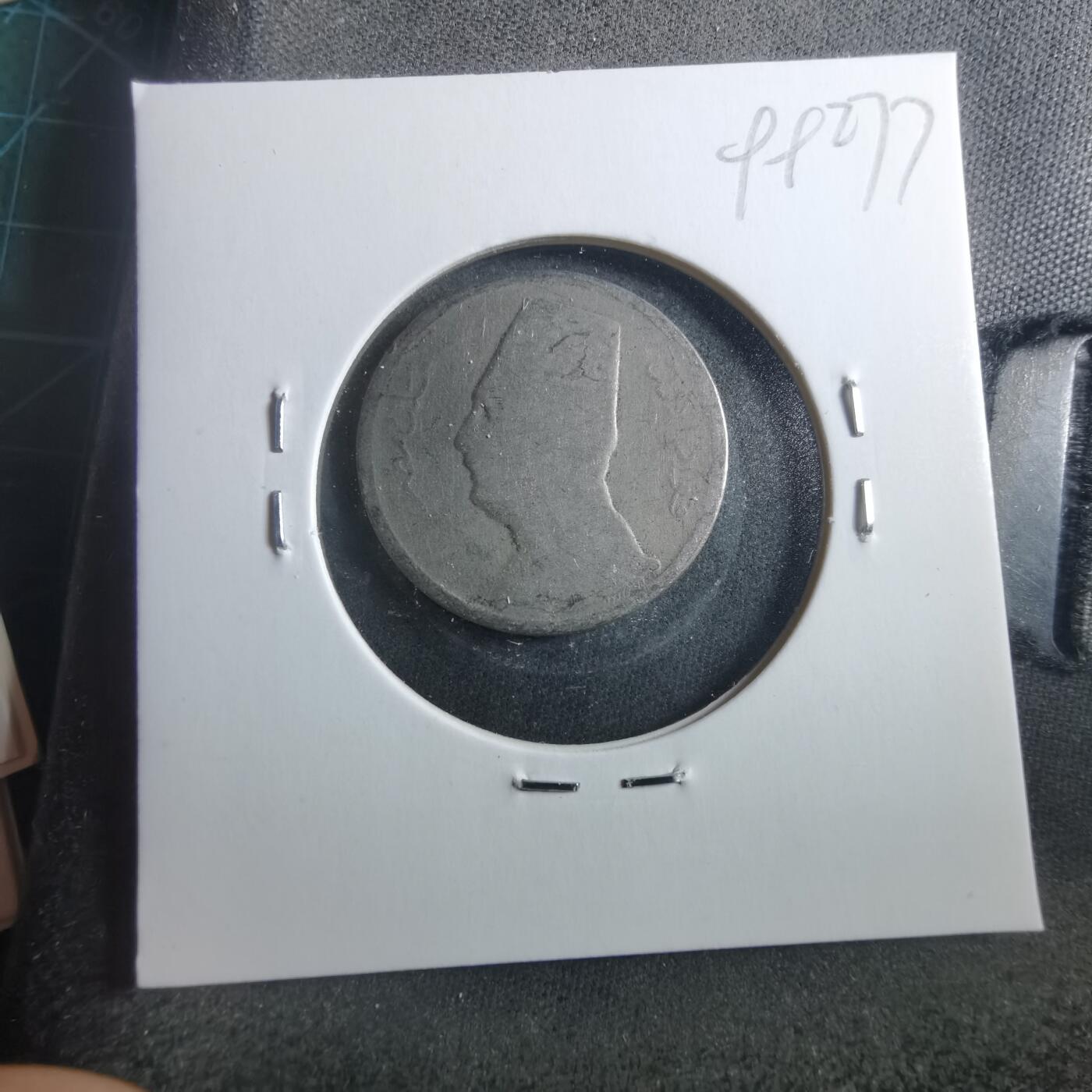 沼泽如烟--第899场 埃及