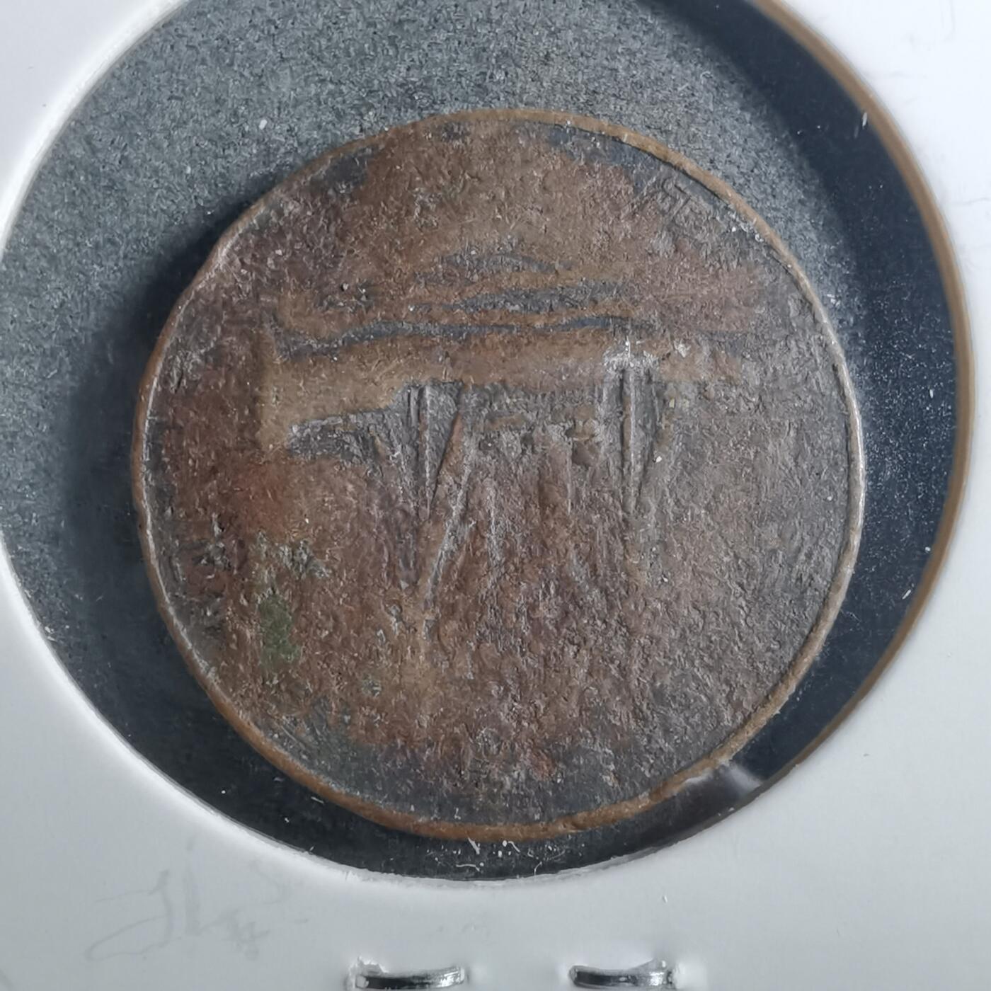 沼泽如烟--第899场 纪念章