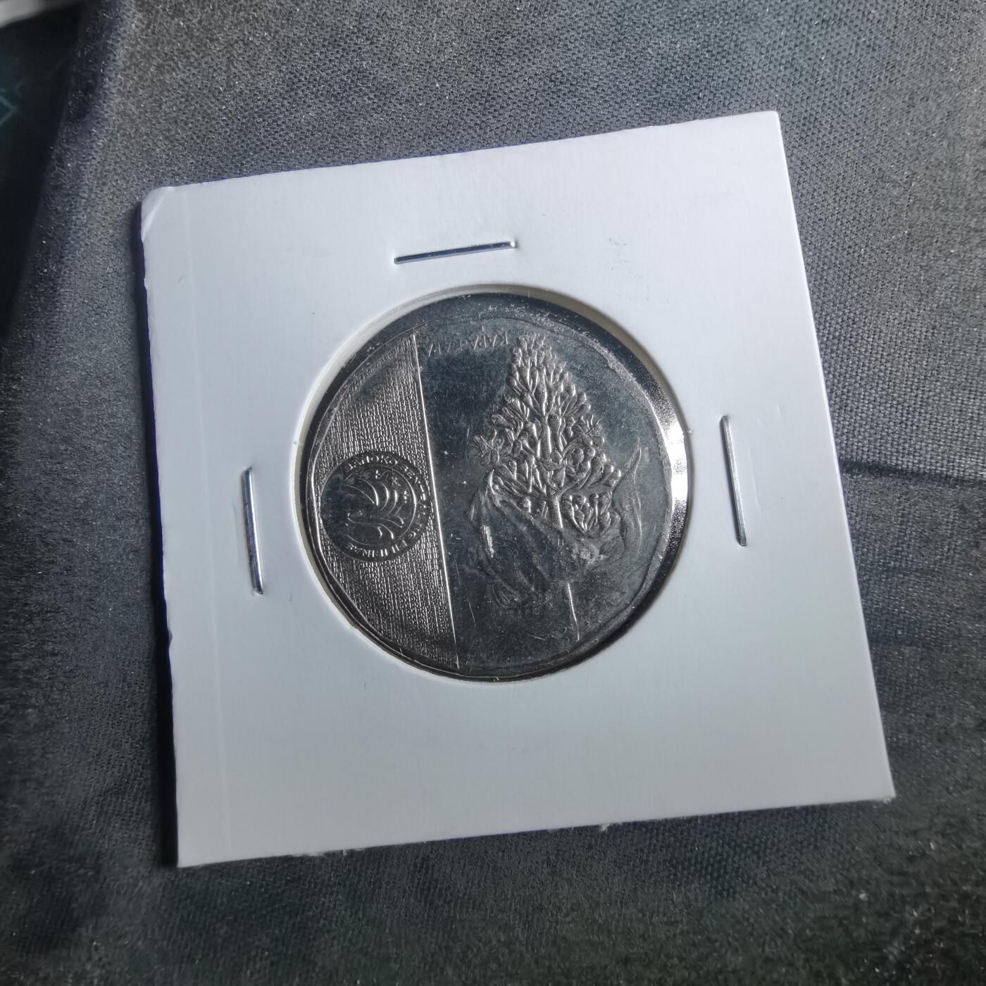 沼泽如烟--第899场