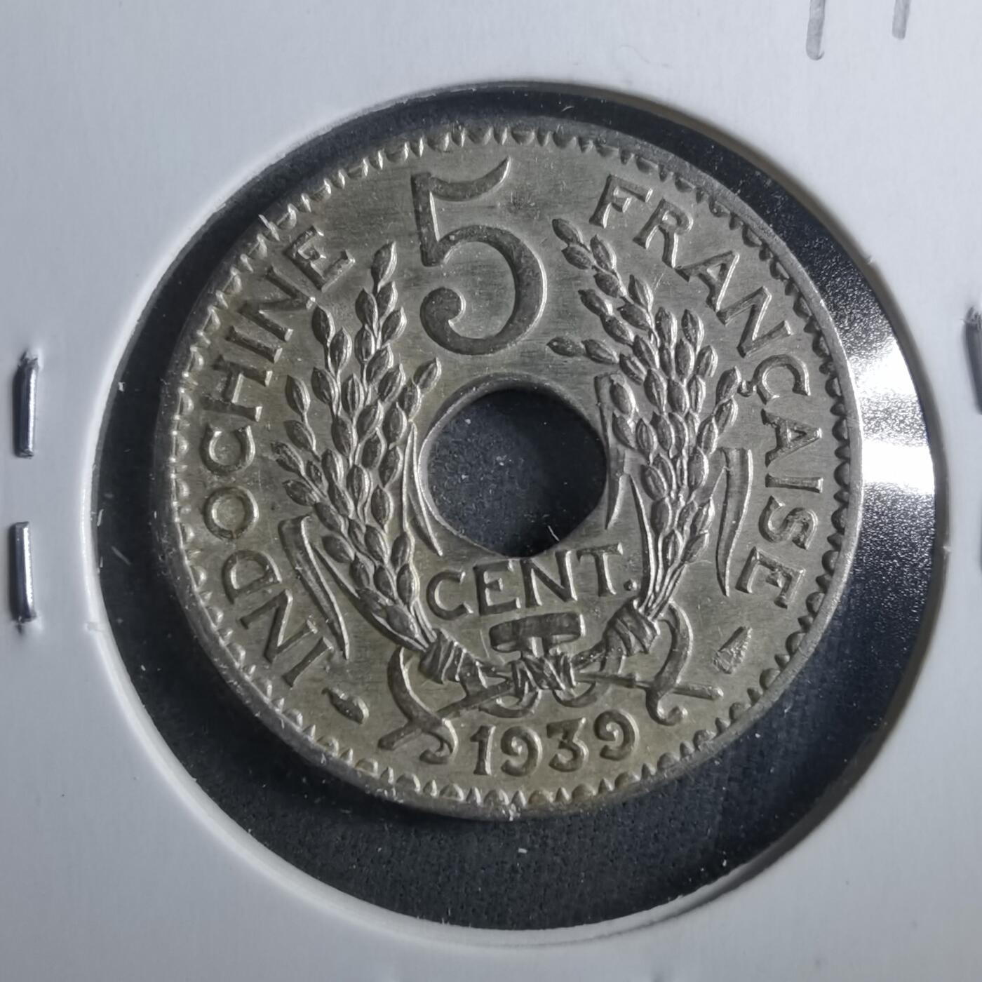 沼泽如烟--第899场