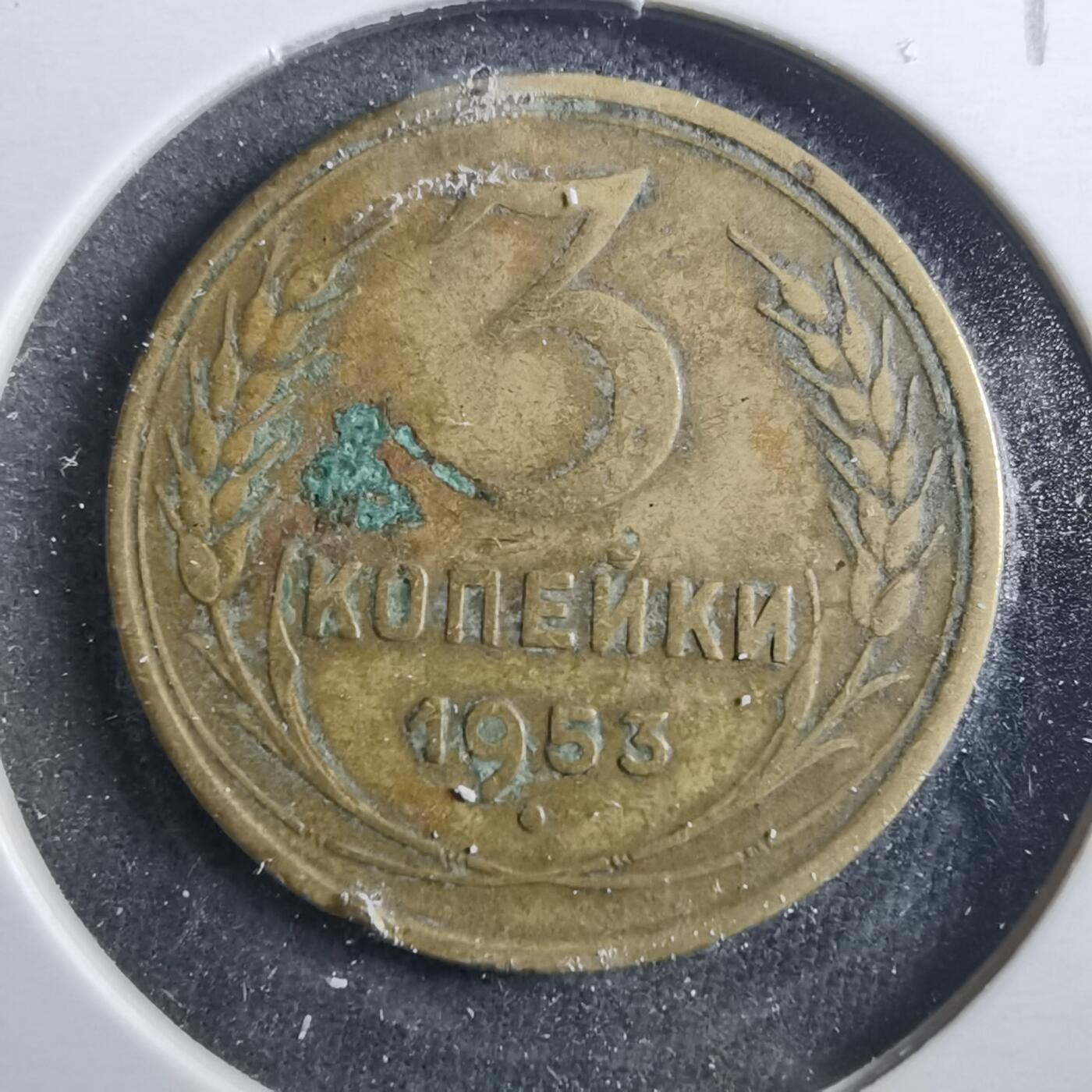 沼泽如烟--第899场