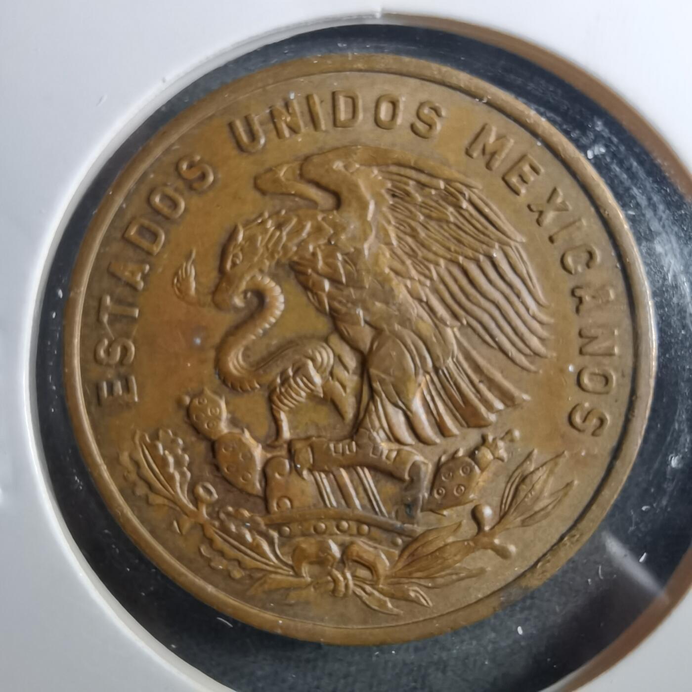 沼泽如烟--第899场 墨西哥1969年20分