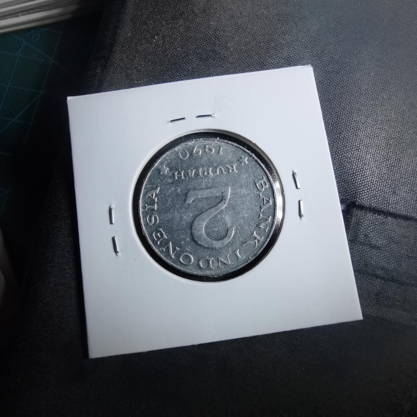 沼泽如烟--第899场