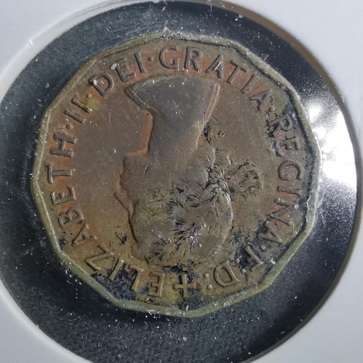 沼泽如烟--第899场