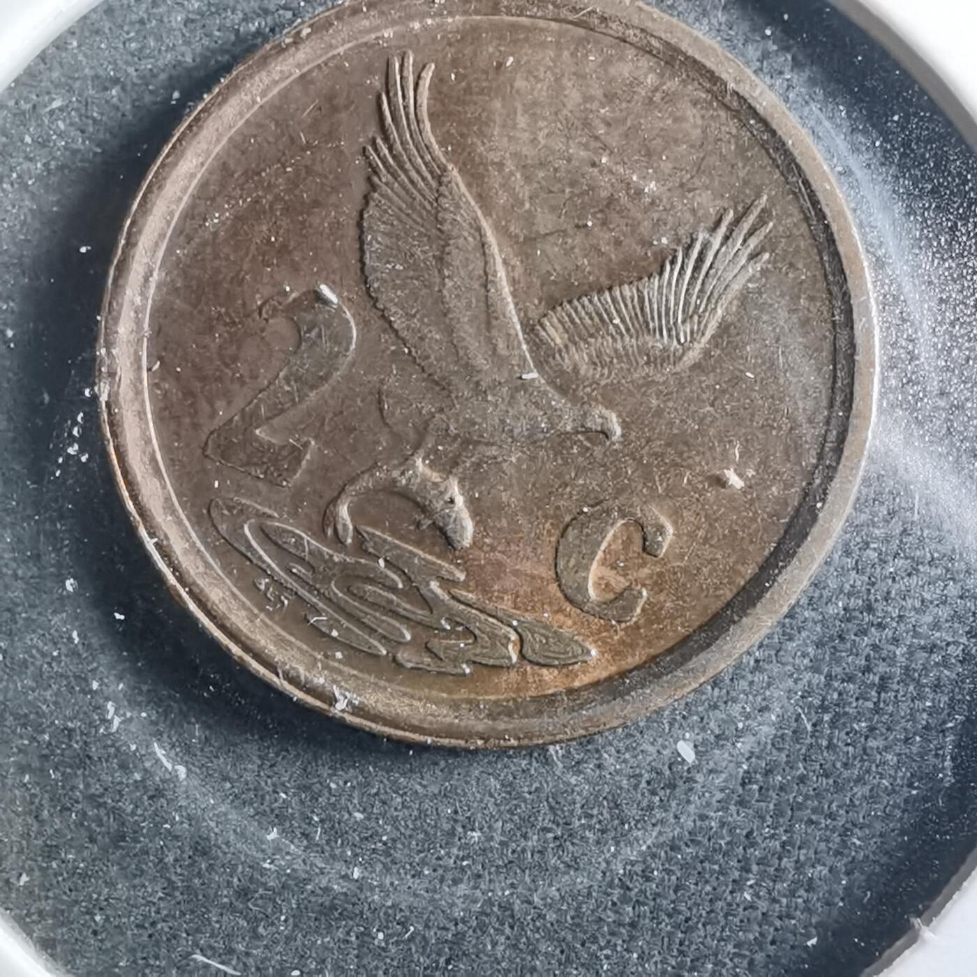 沼泽如烟--第899场 南非1996年二分