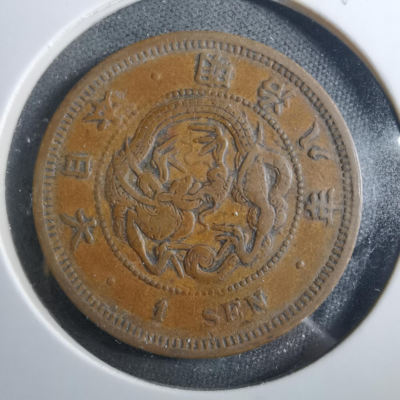 沼泽如烟--第899场