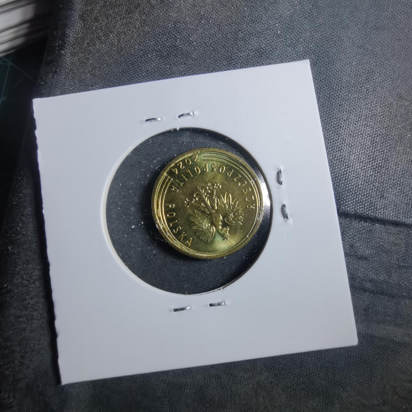 沼泽如烟--第899场 波兰2024年5格罗申