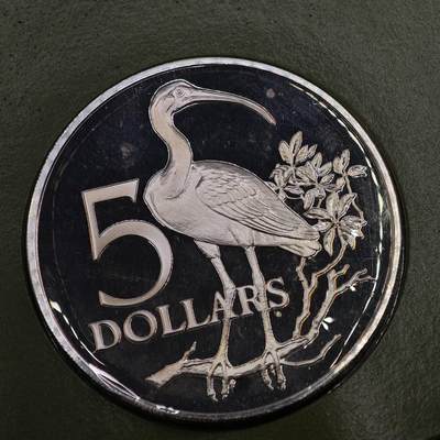 【淘币小摊】实时拍第七百九十五拍   银币套币场   满百包邮可预留二周 每周一统一发货   - 特立尼达和多巴哥1975年5元精制银币 重29.7克925银 纯银价302