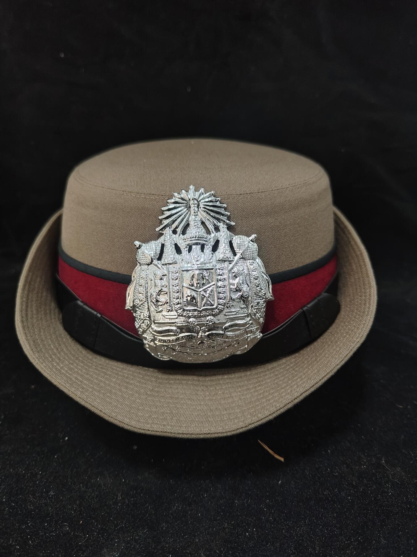 0元起拍勋章 第309期 咸鱼国勋章拍卖专场 11月12日（周三）下午6：00开始